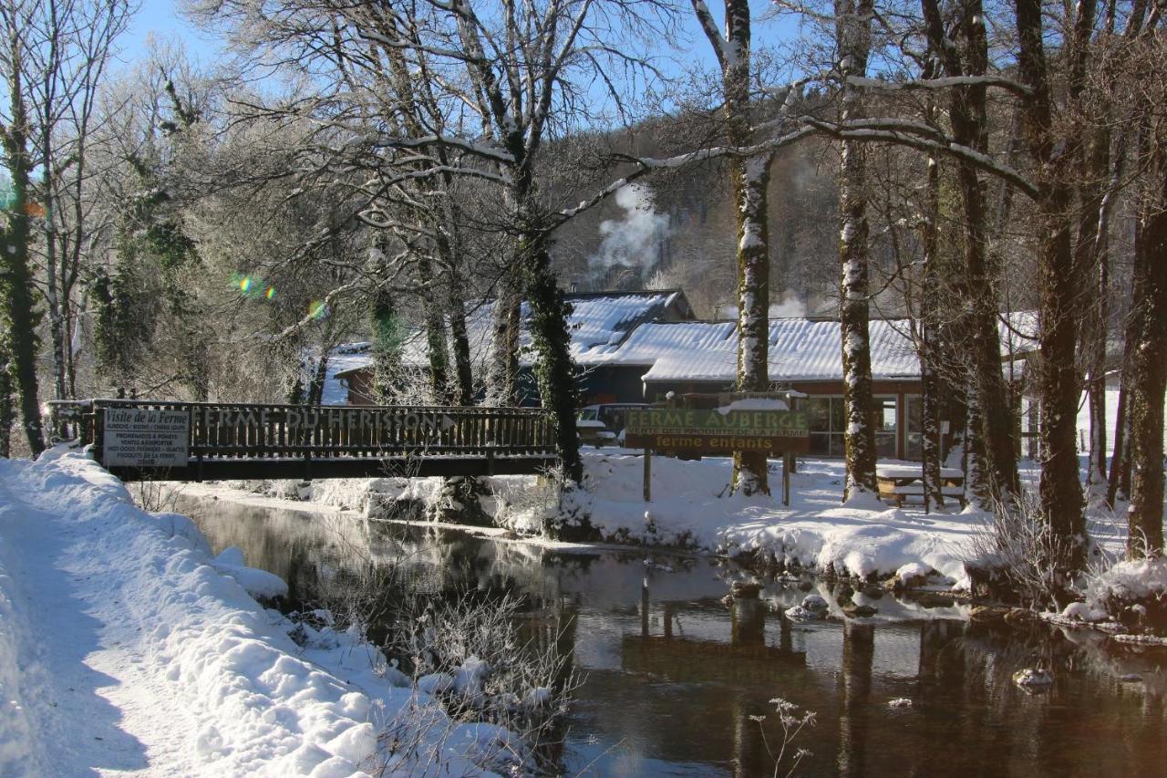 Parc Animalier Du Herisson Villa Doucier Exterior foto
